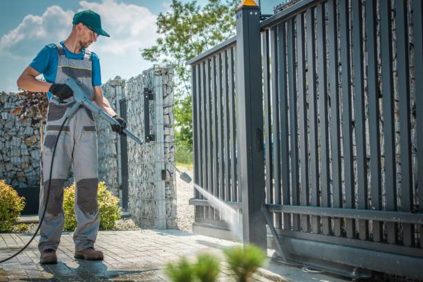 Best Boat and Dock Cleaning  in Colfax, IL