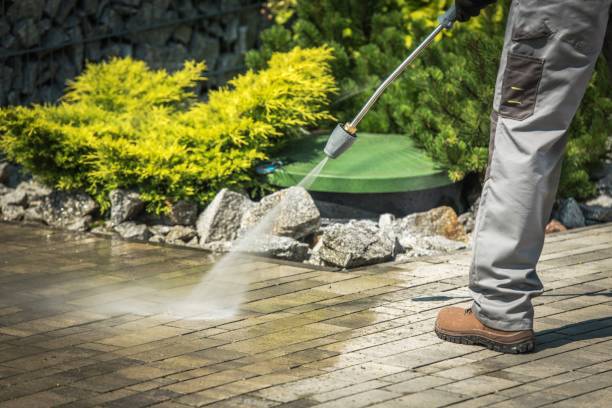 Best Fence Cleaning  in Colfax, IL