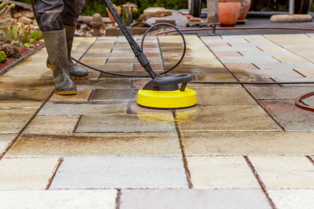 Best Building Exterior Washing  in Colfax, IL