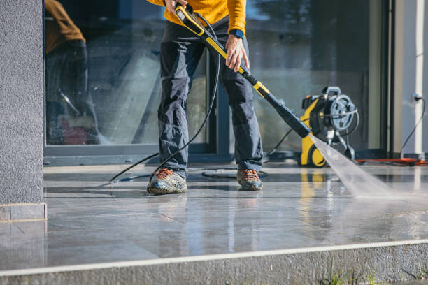 Best Roof Washing  in Colfax, IL