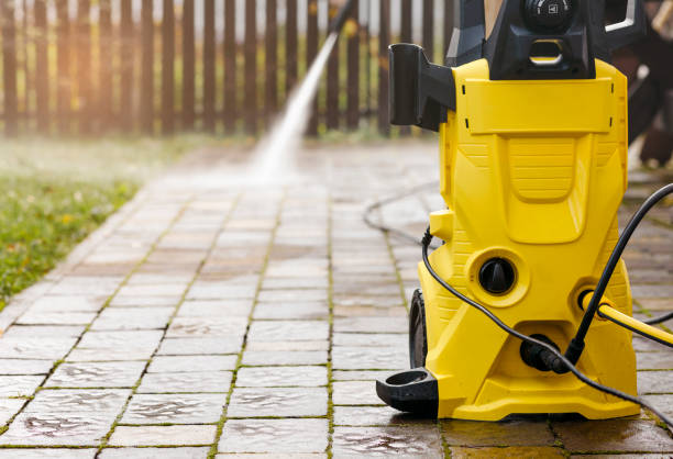 Best Soft Washing  in Colfax, IL
